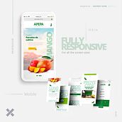APEPA - Re Diseño de Web / Mobile - Frutos Orgánicos. Een project van Webdevelopment, Ontwerp, Webdesign y UX / UI van Gustavo Yucra - 06.09.2018