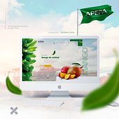 APEPA - Re Diseño de Web / Landing - Frutos Orgánicos. Een project van Webdevelopment, Ontwerp, Webdesign y UX / UI van Gustavo Yucra - 06.09.2018