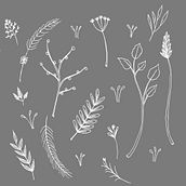 Botanical Pattern . Un proyecto de Ilustración tradicional de Maria Villa - 26.09.2018