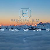 Freelancer - Principalium.com. Un projet de Développement web , et Webdesign de Alberto - 05.04.2018