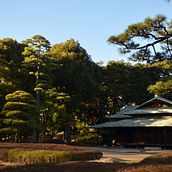 Fotografías - Japón. Photograph project by Nico Costa - 09.14.2018
