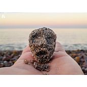 Fotografía. Un progetto di Fotografia e Fotografia di ritratto di Hazel Perez - 17.09.2018
