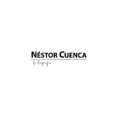 Logotipo para Néstor Cuenca. Design, Graphic Design, Web Design, and Photograph project by Esperanza Ros Cava - 09.17.2018