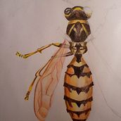 Colores. Projekt z dziedziny Sketching,  R, sunek, Trad, c i jna ilustracja użytkownika Camilo Hernandez - 19.09.2018