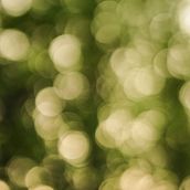 Fotografía: Mondariz Ein Projekt aus dem Bereich Fotografie und Beleuchtung für Fotografie von Marta Cayuela - 19.09.2018