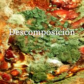 Descomposición. Projekt z dziedziny Fotografia, Fotografia stud, jna i Fotografia produktowa użytkownika Adriana Bencomo Hernandez - 27.09.2018