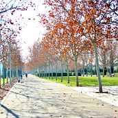Galería fotográfica / Localización: Madrid Río (2016) Ein Projekt aus dem Bereich Fotografie von Álvaro García Jiménez - 04.02.2016