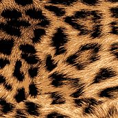 Pattern Leopard Skin. Un progetto di Design di Cristian Quinteros - 03.10.2017