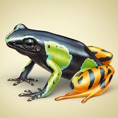 Ilustraciones sellos ONU, especies en peligro 2018. Fine Arts, Realistic Drawing, Editorial Design, Traditional illustration, Digital Illustration, and Painting project by Juan Muñoz - 10.05.2018