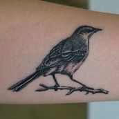 tattoo ave. Drawing, and Design project by Alejandro Rodriguez - 10.05.2018
