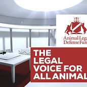 The Legal voice for all Animal. Animation, 3D Animation, and Motion Graphics project by Aitor Perez-Cuadrado Hedström - 10.08.2018
