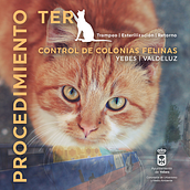 PROCEDIMIENTO TER Ayuntamiento de Yebes. Een project van  Br, ing en identiteit, Redactioneel ontwerp y Grafisch ontwerp van Gabriela Argibay - 20.11.2017
