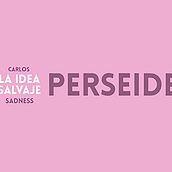Lyric video: Carlos Sadness -Perseide.. Animation, 2D Animation, Motion Graphics, Music, T, pograph, and Video project by Andrea Rodríguez Cámara - 10.10.2018
