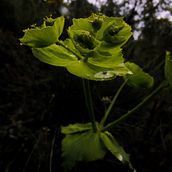 ¡Click! Naturaleza. Projekt z dziedziny Fotografia użytkownika Liseth G.L. - 10.10.2018