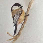 Acuarela, ilustración. Een project van Interactief ontwerp,  Beeldende kunst,  Creativiteit,  Ontwerp, Patroonontwerp, Grafisch ontwerp, Printen, Traditionele illustratie, Schilderij y Aquarelschilderen van Sandra Ramirez-Cardenas Amer - 11.09.2020