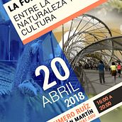 La forma: entre la naturaleza y la cultura. Un progetto di Design di poster  e Graphic design di Cristina Almansa - 16.03.2018