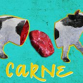 Carne explanation video. Un progetto di Motion graphics e Stop motion di Ana Netto - 13.02.2018
