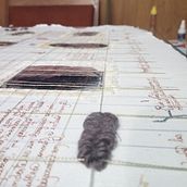 Geografía de mi Estructura. Fine Arts, Embroider, Creativit, Drawing, Photograph, and Paper Craft project by Itxill Osorio Gonsen - 10.15.2018