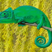 Animal Illustration. Artistic Drawing, Realistic Drawing, Traditional illustration, and Digital Illustration project by Lara Pascual Fernandez - 10.23.2018