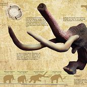 Infografía. Un progetto di Disegno, Disegno realistico, Design dell’informazione, Illustrazione tradizionale, Illustrazione digitale, Illustrazione vettoriale e Infografica di Asier Cantabrana Lacuesta - 23.10.2018