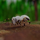 DEMO REEL Christian Gramajo. 3D, Animation, 3D Animation, Art Direction, Lighting Design, 3D Character Design, Set Design, 3D Modeling, Photograph, Post-production, and Rigging project by Christian Gramajo López - 10.24.2018