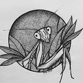 Dibujos a mano con tinta Ein Projekt aus dem Bereich Zeichnung, Bleistiftzeichnung und Traditionelle Illustration von Macarena Muñoz Silva - 27.10.2018