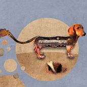 Máquinas animales. Traditional illustration project by Nadine Foertsch - 10.28.2018