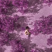 natura vs natura . Portrait Photograph project by Felix Barra - 10.29.2018