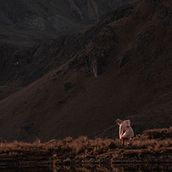 In a secret place . Een project van Fotografie, L y scaping van Alejandro Gussep - 30.10.2018