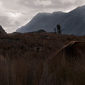 libertad en las alturas. Een project van Fotografie, L y scaping van Alejandro Gussep - 30.10.2018