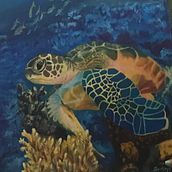 Tortuga, pintura al óleo alla prima . Painting project by Norma Santoyo - 10.30.2018