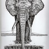 Ilustración con microfibra sobre papel obra 240gr. 23x30 cm.. Traditional illustration project by Benjamín Escalante - 10.30.2018