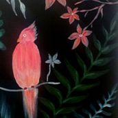 CACATUA. Een project van Schilderij van Beatriz Segura - 01.11.2018
