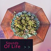 Sounds of Life. Un proyecto de Br e ing e Identidad de Oscar Puertocely - 03.11.2018