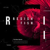 Poster Design  | The Vibrant Species series |. Un progetto di Design di Dui Lorem - 04.11.2018