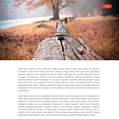 stiky_web. Design, and Web Development project by Jaime Rehbein - 11.04.2018