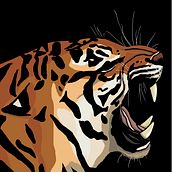 Wild portraits. Un progetto di Street Art, Belle arti, Bozzetti, Creatività, Disegno, Design, Illustrazione tradizionale, Illustrazione digitale, Pittura e Illustrazione vettoriale di Isa - 05.11.2018