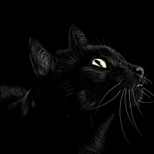 El Gato Ein Projekt aus dem Bereich Traditionelle Illustration, Digitale Illustration, Vektorillustration, Design und Grafikdesign von Juan R Mon - 08.11.2018
