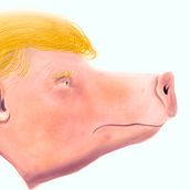 Trumpig. Traditional illustration project by Nicolás Serrano Bucheli - 10.11.2017