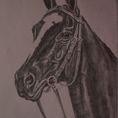 Caballo. Pencil Drawing project by Edward Acero - 11.17.2018