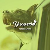 Yuquerí hotel canino (isologo). Design project by Alvaro Cardozo - 11.19.2018