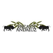 Etiquetas para botella de aceite "Encaste Andaluz". Graphic Design project by Juan Carlos Serrano Aguilera - 11.21.2018