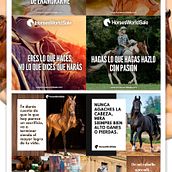 Social Media Horses World Sale imagenes Redes Sociales. Br, ing, Identit, Graphic Design, Portfolio Development, Advertising, and Social Media project by Freshmedia - 11.22.2018