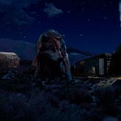 Matte painting - Wolf. Photo Retouching project by David Nieto Rojas - 02.23.2018