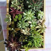 Mi Proyecto del curso: Diseño y creación de composiciones botánicas. Creativit, Design & Interior Design project by Idoya Clemente - 11.24.2018