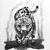 Jaguar. Concept Art, Desenho, Desenho artístico e Ilustração tradicional projeto de Lucy González - 26.11.2018