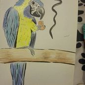 Mi Proyecto del curso: De principiante a superdibujante. Drawing project by Daniel Gamboa - 11.26.2018
