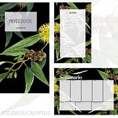 Trabajo final - Curso Ilustración Botánica. Projekt z dziedziny Trad, c i jna ilustracja użytkownika mbalmaca - 28.11.2018