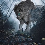 Mi Proyecto del curso: Secretos del fotomontaje y el retoque creativo. Photo Retouching project by Agustin Gagliardi - 12.01.2018