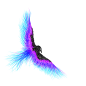 Libre. Vector Illustration project by Carlos Herrera - 12.02.2018